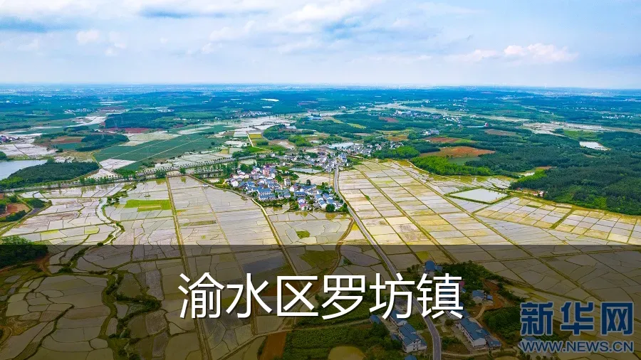 渝水区罗坊镇