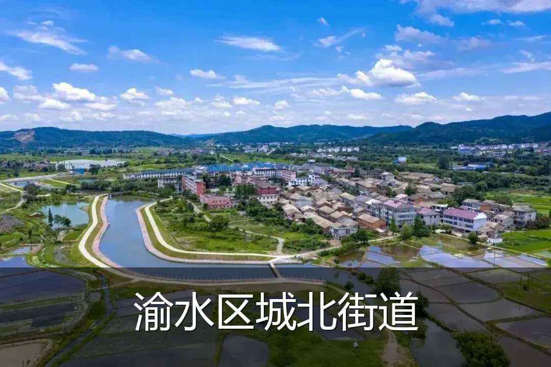 渝水区城北街道