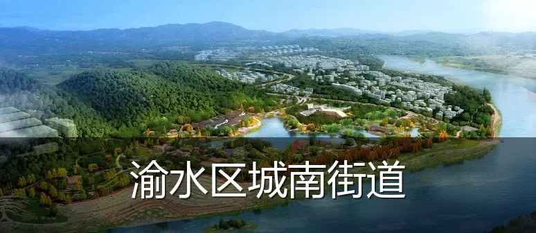 渝水区城南街道